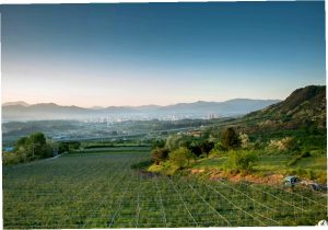 이수미팜베리펜션 숙박 시설 ...