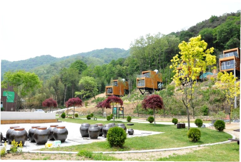 이수미팜베리 체험 안내